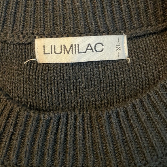 Lantern Sleeve Knit Mini Dress - Picture 3 of 8